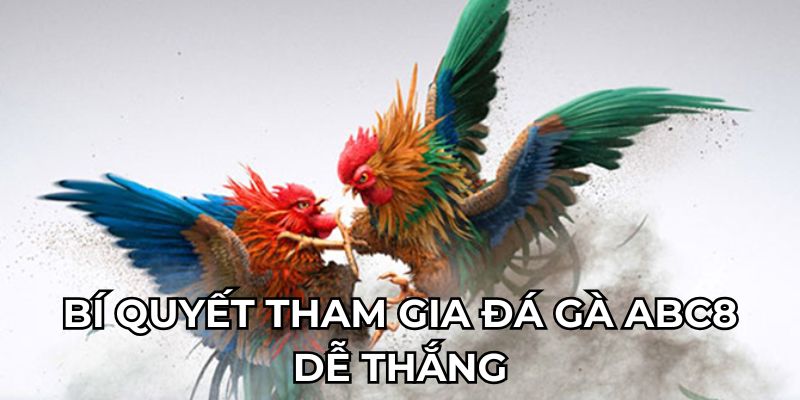 Bí quyết tham gia đá gà ABC8 dễ thắng