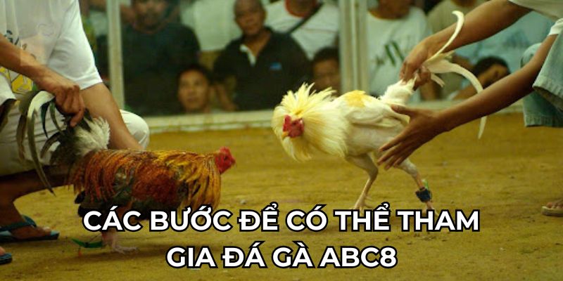 Các bước để có thể tham gia đá gà ABC8