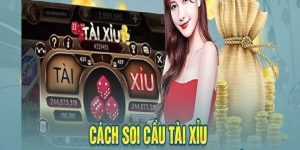 cach-soi-cau-tai-xiu-thumb