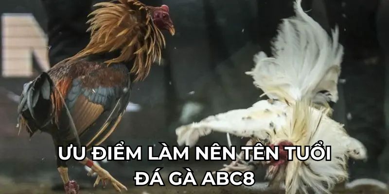 Ưu điểm làm nên tên tuổi đá gà ABC8