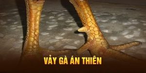 vay-ga-an-thien