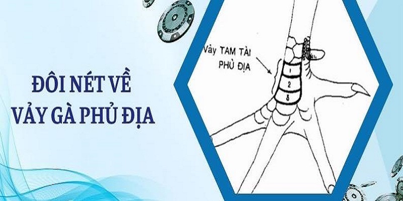 Vảy phủ địa là dấu hiệu của thần kê